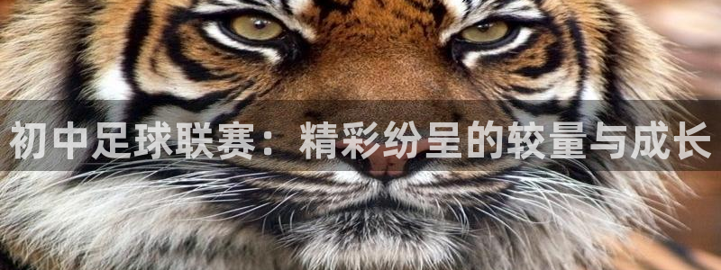  初中足球联赛：精彩纷呈的较量与成长