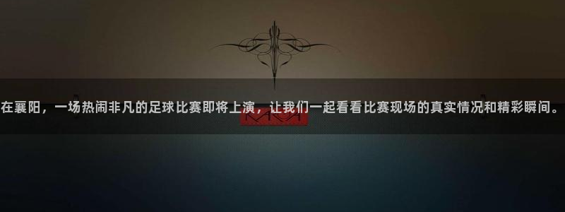 在襄阳，一场热闹非凡的足球比赛即将上演，让我们一起看看比赛现