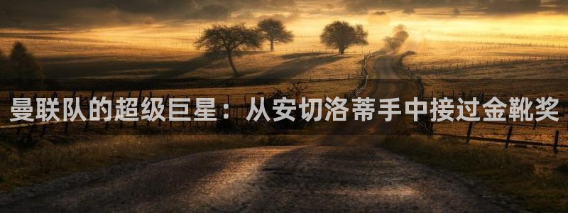 曼联队的超级巨星：从安切洛蒂手中接过金靴奖