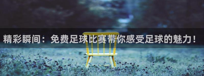 精彩瞬间：免费足球比赛带你感受足球的魅力！