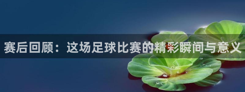  赛后回顾：这场足球比赛的精彩瞬间与意义
