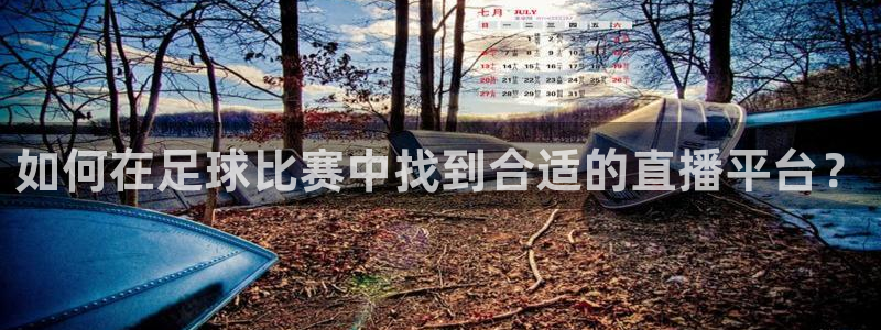  如何在足球比赛中找到合适的直播平台？
