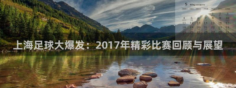  上海足球大爆发：2017年精彩比赛回顾与展望