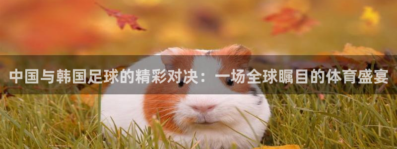  中国与韩国足球的精彩对决：一场全球瞩目的体育盛宴