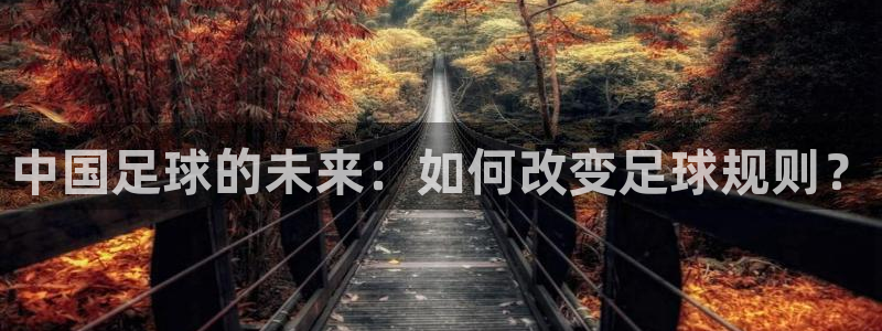 中国足球的未来：如何改变足球规则？