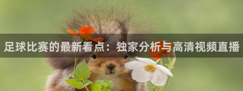  足球比赛的最新看点：独家分析与高清视频直播