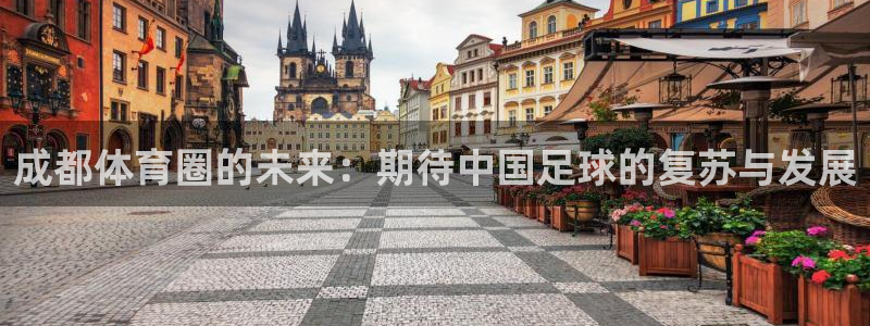  成都体育圈的未来：期待中国足球的复苏与发展
