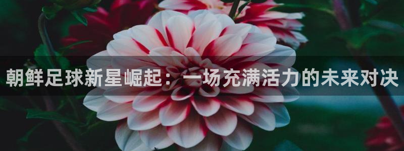  朝鲜足球新星崛起：一场充满活力的未来对决