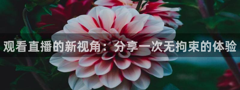 上海五星体育广播：观看直播的新视角：分享一次无拘束的体验