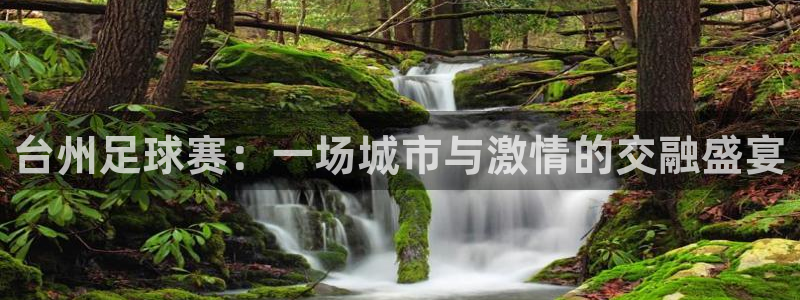 台州足球赛：一场城市与激情的交融盛宴