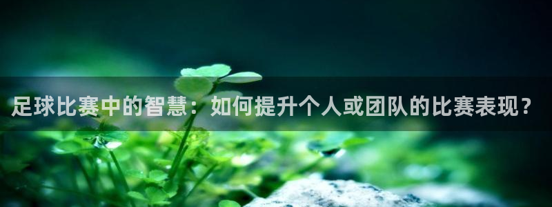 足球比赛中的智慧：如何提升个人或团队