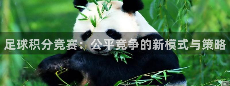 足球积分竞赛：公平竞争的新模式与策略