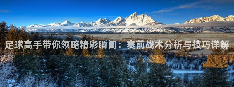 足球高手带你领略精彩瞬间：赛前战术分