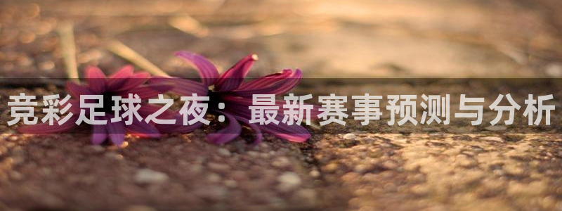 竞彩足球之夜：最新赛事预测与分析