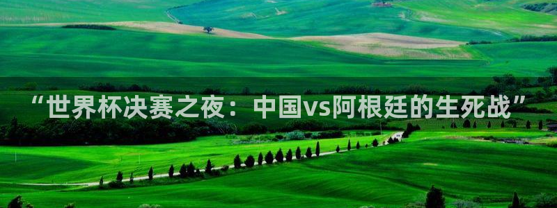  “世界杯决赛之夜：中国vs阿根廷的生死战”