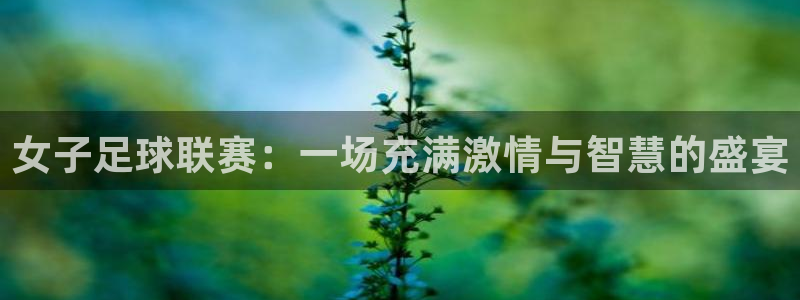 女子足球联赛：一场充满激情与智慧的盛