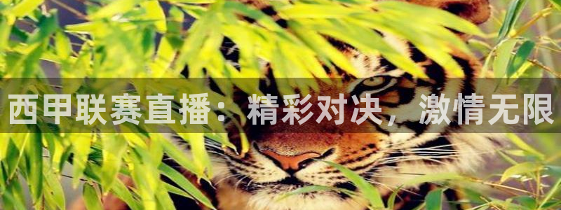 西甲联赛直播：精彩对决，激情无限