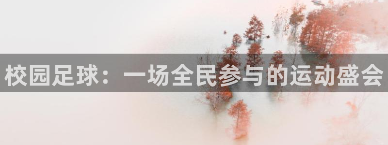 校园足球：一场全民参与的运动盛会