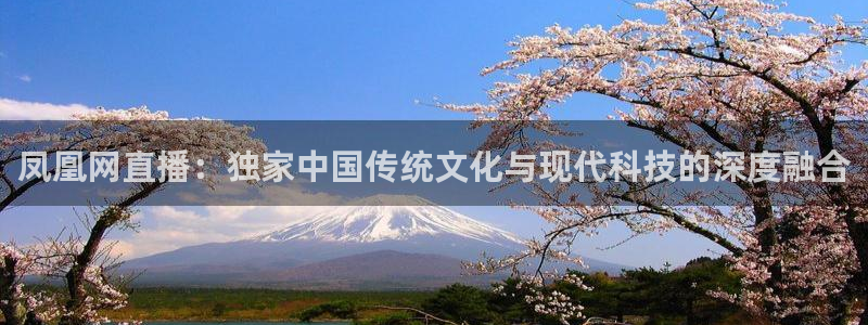 五星体育体育新闻：凤凰网直播：独家中国传统文化与现代科技的深度融合