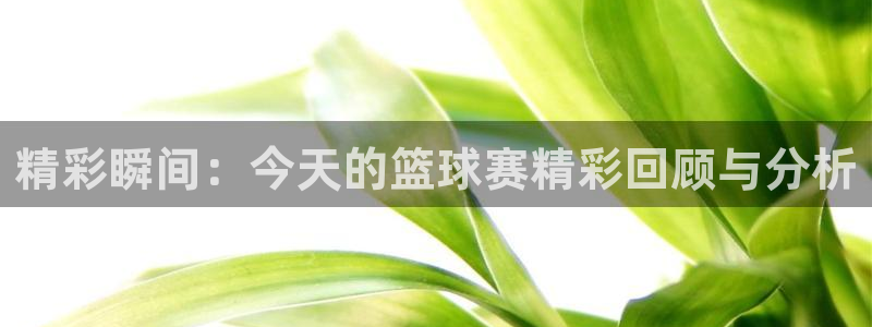 上视五星体育：精彩瞬间：今天的篮球赛精彩回顾与分析