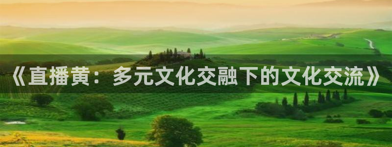 上海五星体育app：《直播黄：多元文化交融下的文化交流》