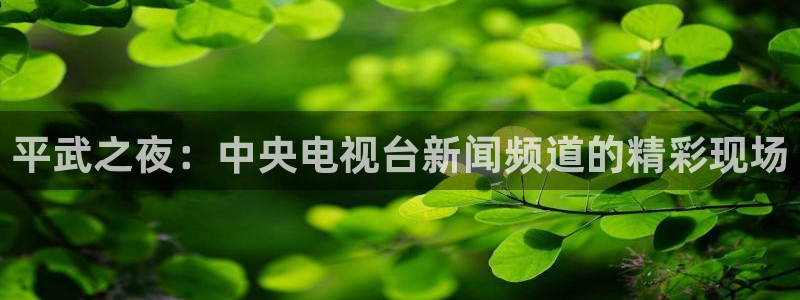 上海五星体育在线直播免费观看：平武之夜：中央电视台新闻频道的精彩现场